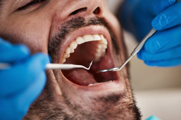 Best Emergency Orthodontic Repairs in Shady Shores, TX